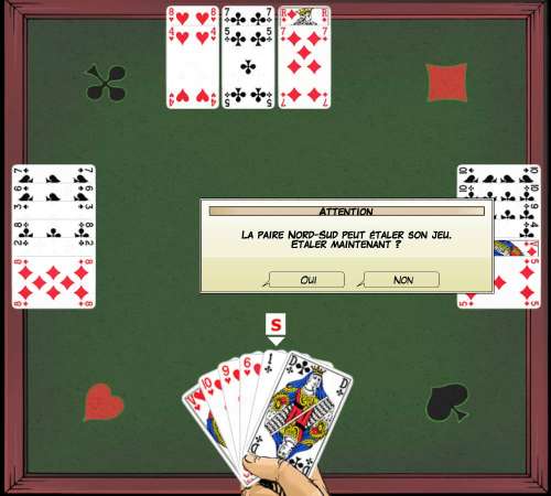 Images/Bridge_Probleme_Animation_34_8.jpg