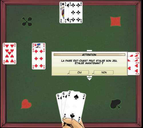 Images/Bridge_Probleme_Animation_37_11.jpg